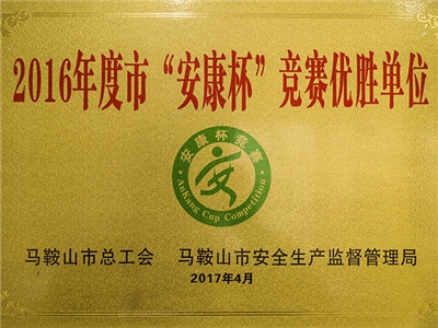 2016年度（dù）榮獲市（shì）安康杯競賽優勝單位