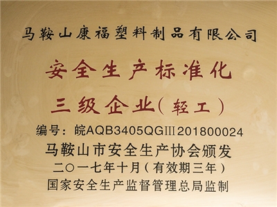 2017年度榮獲安全生產標準化三級企業（輕工（gōng））